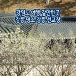 강원도 여행 갈만한 곳 강릉 명소 강릉 선교장