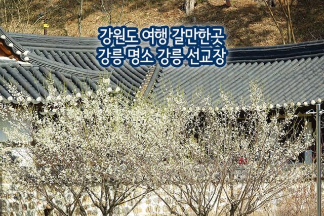 강원도 여행 갈만한 곳 강릉 명소 강릉 선교장