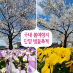 국내 봄여행지 벚꽃여행 단양 벚꽃축제 봄꽃구경 소금정 공원 시작