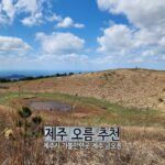 제주 오름 추천 제주시 가볼 만한 곳 제주 금오름