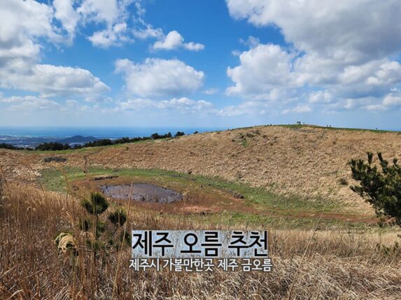 제주 오름 추천 제주시 가볼 만한 곳 제주 금오름