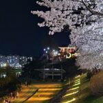 경북 영주 밤벚꽃 야경명소 서천둔치 삼판서고택에서 영일둔치 낭만 별빛거리