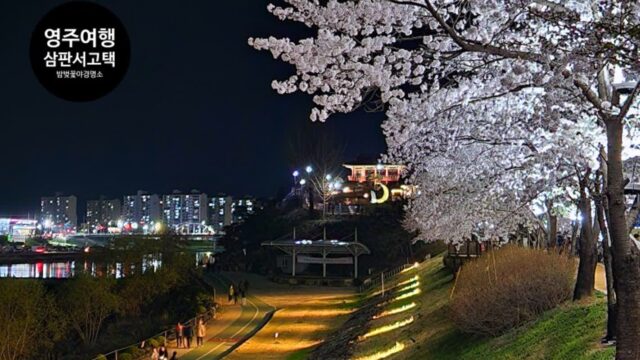경북 영주 밤벚꽃 야경명소 서천둔치 삼판서고택에서 영일둔치 낭만 별빛거리