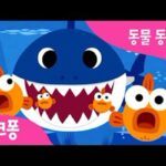 ‘아기상어’ 스쳐도 매출 3위…출시한지 6년 지난 ‘브롤스타즈’ 제 2의 전성기 맞나