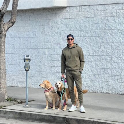 다니엘 헤니, 반려견 ‘로스코♥줄리엣’과 즐긴 주말 산책…”Sunday walks and wags”