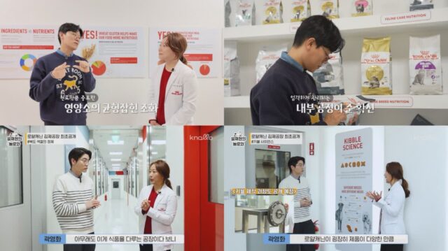 로얄캐닌코리아, 김명철·설채현 수의사와의 콜라보 영상 공개…’꼼꼼한 품질 관리 두 눈으로 인증’