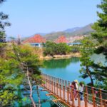 [이만기 동네 한바퀴] 촬영지 충북 제천 가볼만한 곳 옥순봉 출렁다리
