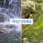 남원 여행 우연하게 발견한 선유폭포 지리산 여행