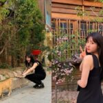 정채연, 길에서 만난 고양이에 찐웃음 발사!…”♥”