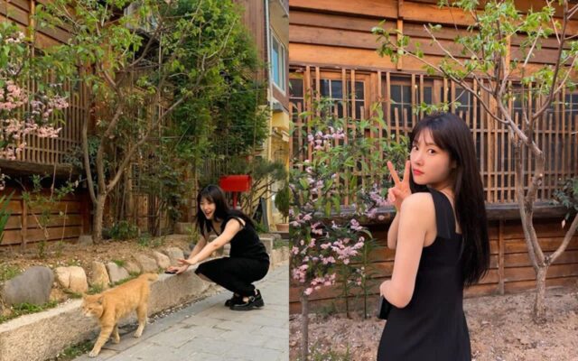 정채연, 길에서 만난 고양이에 찐웃음 발사!…”♥”