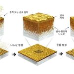한국연구재단, 고무처럼 늘어나는 첨단 바이오 신소재 개발