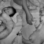 밤에 우는 아기한테 달려가 달래준 고양이..’육아 걱정 없겠네’