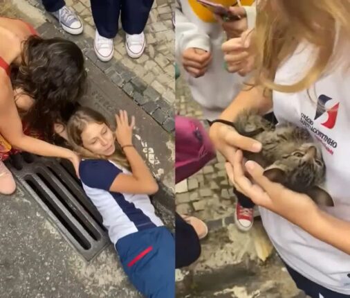 하수도에 팔 집어넣어 갇힌 새끼 고양이 구조한 소녀…’이제 한 집 산다옹!’