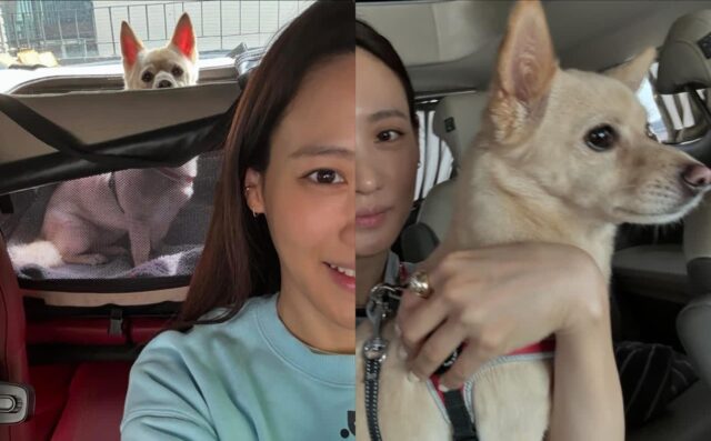 수현, 반려견 ‘두부’와 함께하는 일상 공개…”wherever I go, she follows”