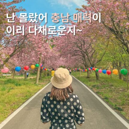 충남여행지 데이트코스 또는 아이와가볼만한곳 5월국내여행추천 6