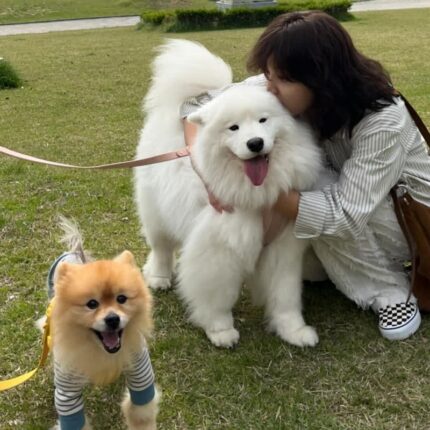 설인아, 유튜브 인기견 ‘우유♥모카’와 깜짝 만남!
