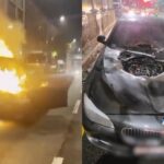 주행 중이던 520d에서 또 화재… 올해에만 벌써 세 번째