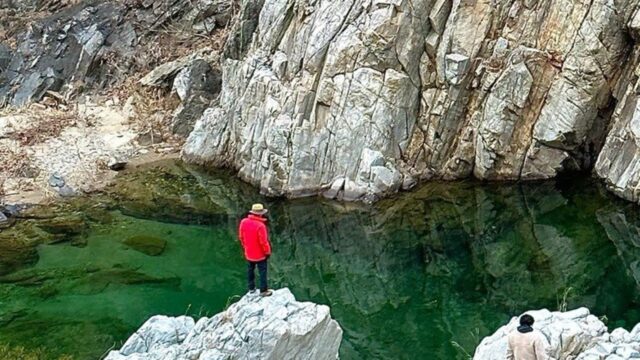 하루 딱 80명만 허락된 비밀의 숲… 울진 오지여행 스폿