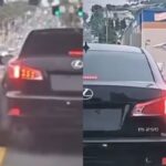 ‘일부러 차 번호판 제거…?’ 자기 버린 가족 자동차 계속 쫓아가는 유기견