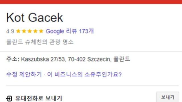 길고양이가 구글 관광명소 된 사연