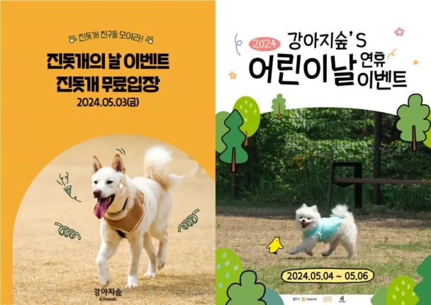 강아지숲, ‘진돗개의 날&어린이날’ 맞이 풍성한 이벤트 진행