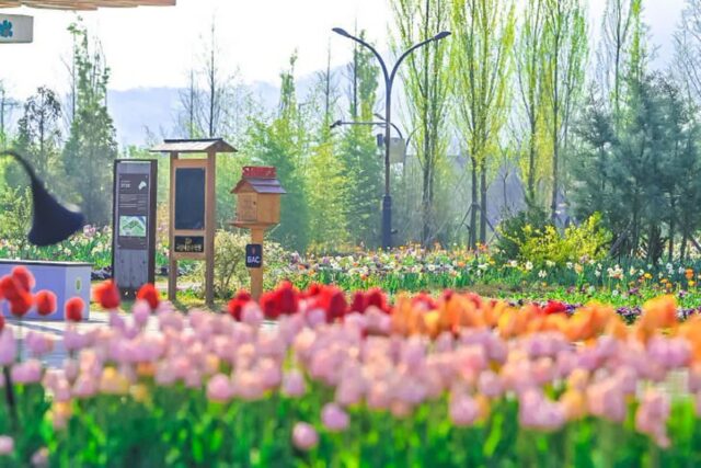 5월 가볼만한곳 가정의달 가족과 함께 하기 좋은 전국 봄꽃축제