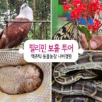 필리핀 보홀 투어 엑쥬틱 동물농장 나비정원