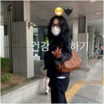 고현정 데일리백 미우미우 가방 나파 가죽 숄더백 가격은?