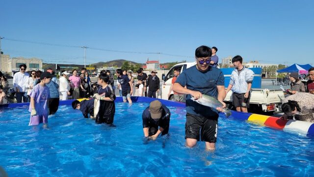 홍성 여행 가볼만한곳 남당항 바다송어축제 5월 7일까지