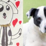 “네가 그리울 거야…” 귀엽지만 슬픈 그림 편지와 함께 보호소에 보내진 유기견