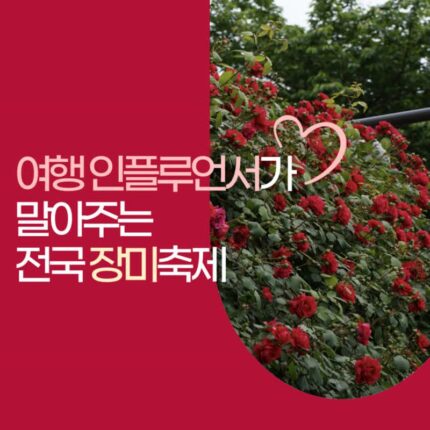 5월국내여행지추천 여름장미축제 아이와가볼만한곳 TOP 5
