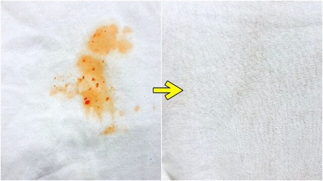 ‘김칫국물’ 제거, 이것 하나면 정말 간단하네!?