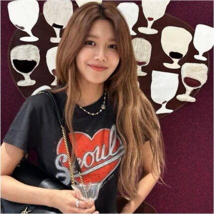 최수영 데일리백 입생로랑 칼립소 생로랑 가방 가격은?