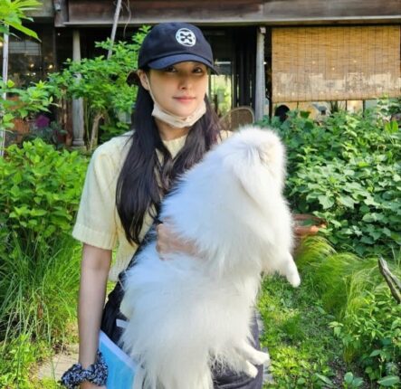 박규리, 반려견 ‘포롱이’ 때문에 ‘해명 댓글’ 단 이유…”털찐 겁니다”