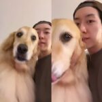씨앤블루 이정신, 반려견 ‘심바’와의 알콩달콩한 일상…”아빠 기다렸어”