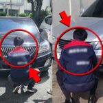 “안 했죠? 돋 뜯겨요” 서울시, 운전자 2만명 싹 털어버린다 선언!
