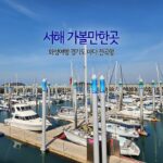 서해 가볼만한곳 화성여행 경기도 바다 전곡항