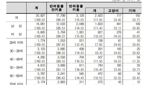 댕댕이와 함께하는 ‘세계 음식 탐방’