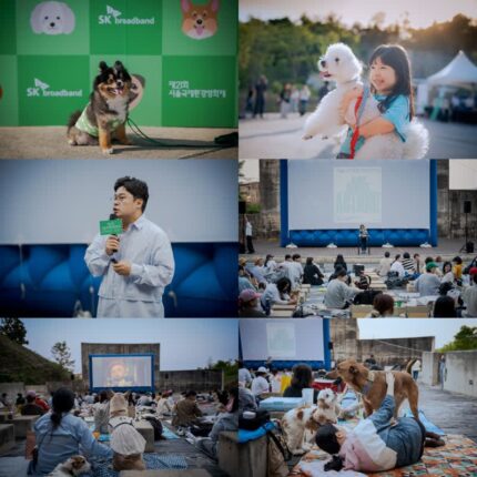 ‘댕댕이랑 야외서 영화 감상!’…제21회 서울국제환경영화제 반려동물 동반 야외 상영회 성황리 개최