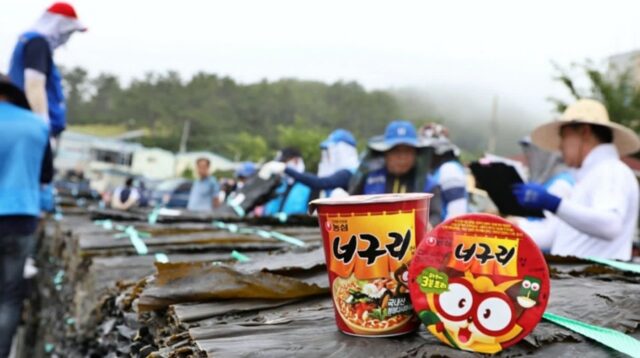 농심, 완도 햇다시마 450톤 구매…43년째 완도 다시마 사랑