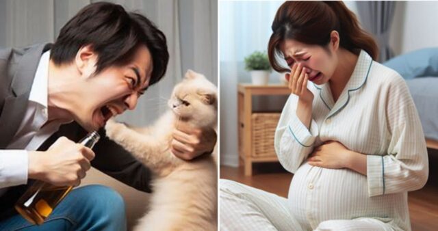 술주정 부리다 반려묘에 손 물리자 목 조른 남편…“임신 20주차인데 이혼해야 할까요?”