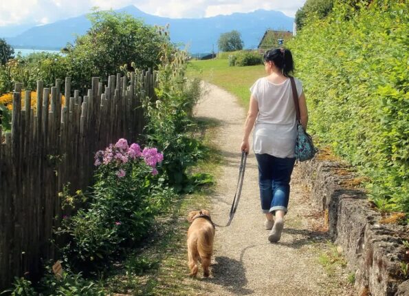 가족에게 아기 생기고 버려진 노령견, 나이 보지 않는 집사 만나 ‘견생역전’