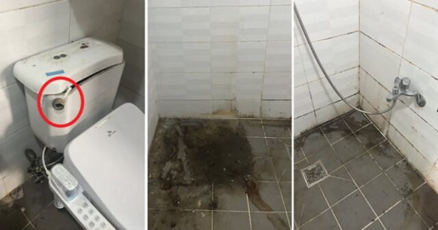 화장실 뒤덮은 곰팡이에 사라진 문고리까지…전세 세입자가 7년 살고 나간 충격적인 집 상태