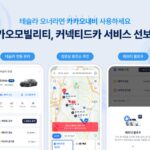 테슬라 오너, 카카오내비로 도착지 설정하고 차도 제어한다