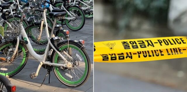 나체로 전남대 캠퍼스 누비다 입건된 유학생, 숨진 채 발견