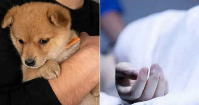 반려동물 키우는 주인이 ‘고독사’하면 시신에 ‘구멍’이 발견되는 슬픈 이유…강아지는 끝까지 기다린다