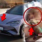 “와, 사기치는 줄” 운전자 중환자실 간 최악의 사고, 실제로 벌어졌다!!