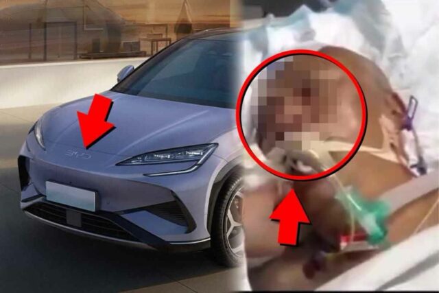“와, 사기치는 줄” 운전자 중환자실 간 최악의 사고, 실제로 벌어졌다!!