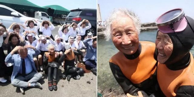 “죽어서도 바다에서 물질할래요”…사상 처음 ‘공식 은퇴식’ 선물받은 제주 해녀들