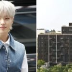 ‘96년생’ 세븐틴 호시, 51억짜리 논현동 고급 주택 전액 현금 매수…최연소 매수자 등극